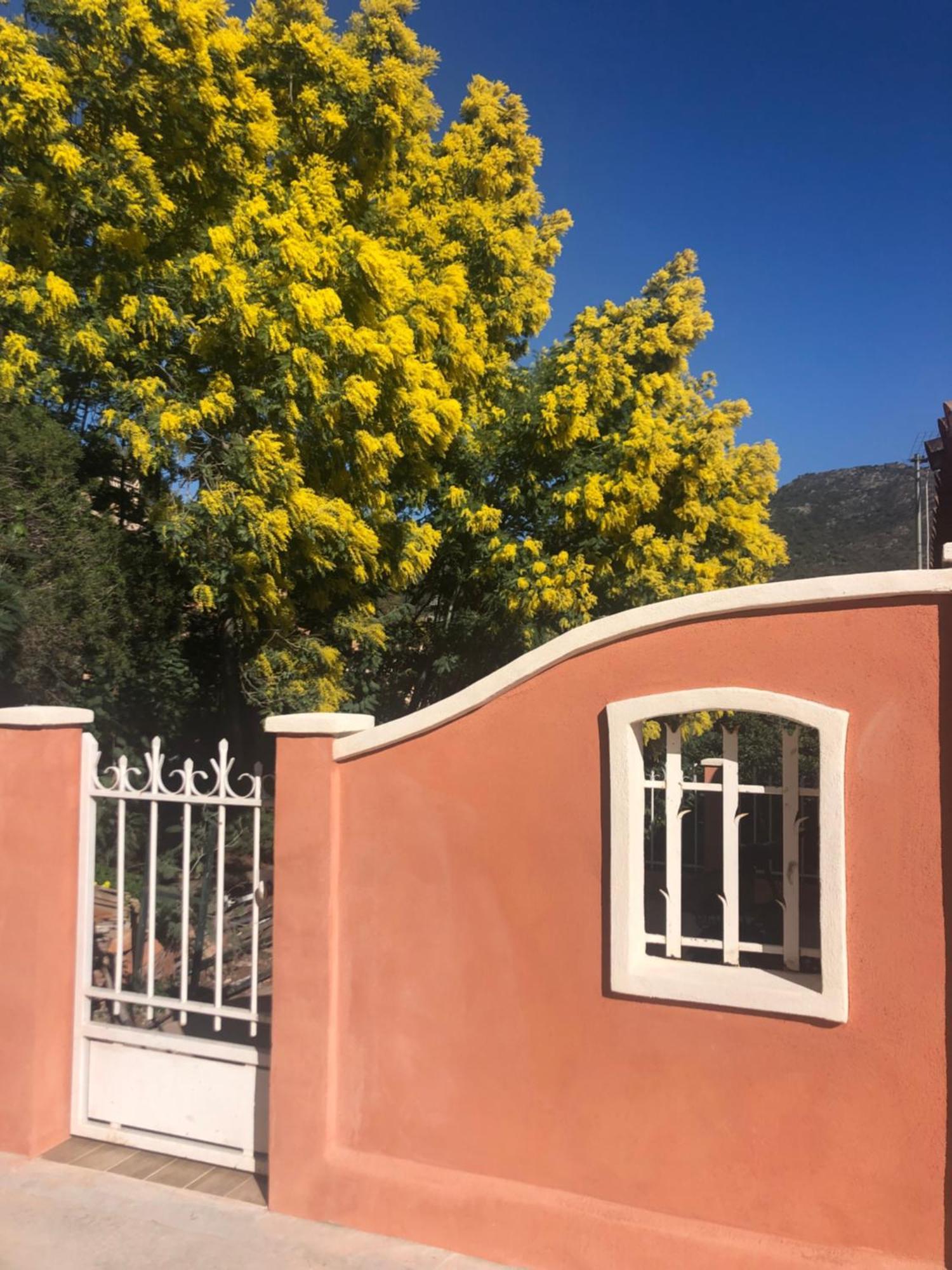 Bed and Breakfast Les Terrasses De Lo Bormes-les-Mimosas Exterior foto